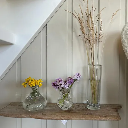 Sveggvika Atlantic Dağ evi *